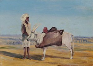 Water Carrier, India — Marianne North