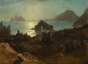 Farallon Islands, Pacific Ocean, California — Albert Bierstadt
