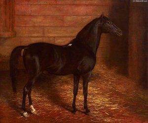 Arab Horse, The Second Sire — Jacques Laurent Agasse