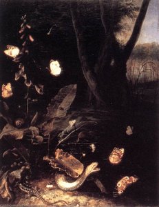 Still-life With Plants And Reptiles — Otto Marseus Van Schrieck