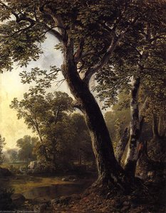 Study At Marbletown, Ulster County — Asher Brown Durand