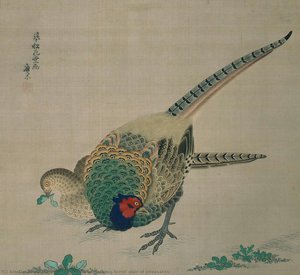 Hanging Scroll (pair Of Pheasants) — Maruyama Masataka