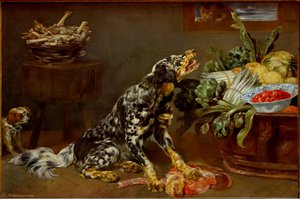 Dog In A Kitchen At Palais Des Beaux-arts De Lille. — Paul De Vos