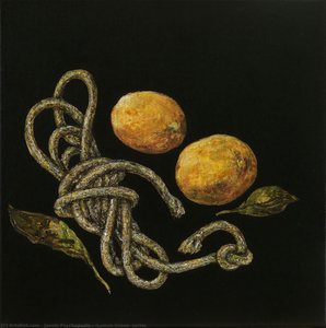 “lemon Grove” Series — Jannis Psychopedis