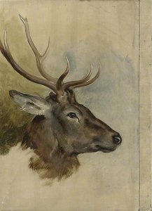 Two Studies Of A Stag's Head (verso) — Sir Edwin Henry Landseer