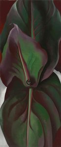 Canna Leaves — Georgia O'keeffe