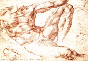 The Study Of Adam — Michelangelo Morlaiter