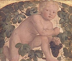 Enfant A Genoux Sous Une Treille — Bernardino Luini
