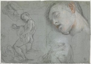 Nude Male Figure Playing Hurdy-gurdy, Studies Of His Bust, Head And Hands (for “madonna Del Popolo”, Firenze, Galleria Degli Uffizi) — Federico Fiori Barocci