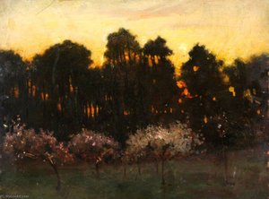Orchard Near The Pineta, Viareggio — Benjamin Haughton