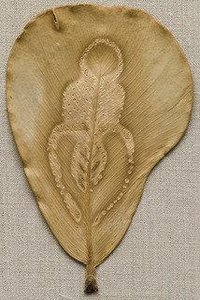 Untitled — Ana Mendieta