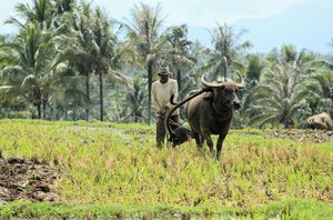 Rendang Minang Legacy To The World — Reno Andam Suri