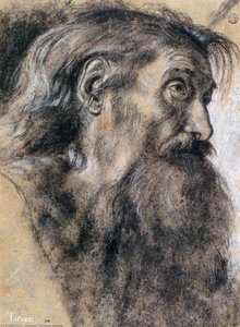 Head Of St Jerome — Giovanni Girolamo Savoldo