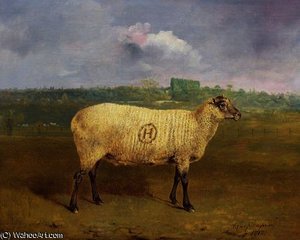 A Prize Ewe With Monogram 'h', Belonging To Mr J.a — Abraham Cooper
