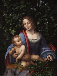 Madonna And Child In A Jasmine Bower — ფრანჩესკო მელზი