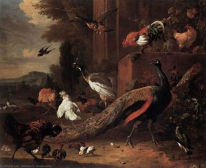 The Pair Of Peacocks — Melchior De Hondecoetter