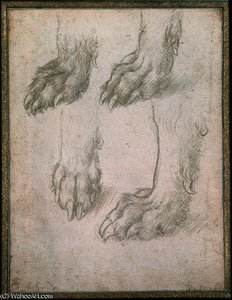 Studio Delle Zampe Di Un Lupo — Leonardo Da Vinci