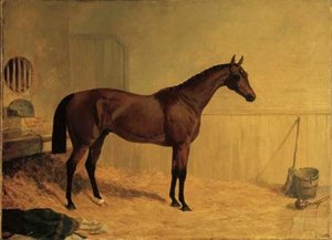 Cotherstone, A Bay Racehorse In A Stable — John Frederick Herring Senior