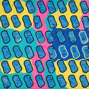 Chromatic Rhythms Of Fluid Cells In A Vibrant Mosaic Of Spontaneous Color — Clément Hardy