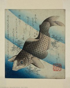 水中の鯉 — 葛飾北斎 (katsushika Hokusai)