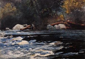 The Rapids, Husdon River, Adirondacks — Winslow Homer