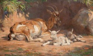 Goat And Kids — John Murray Thomson