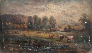 From Croham Road, Croydon, Surrey — Walter William Acock