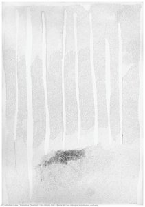 Sin Título Xvi , Serie De Los Dibujos Montados En Tela — Catalina Chervín
