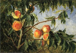 Peaches — Thomas Worthington Whittredge