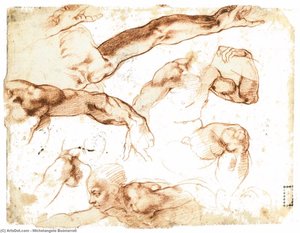 Verschiedene Studien Von Figuren Und Gliedmaßen (verso) — Michelangelo Buonarroti