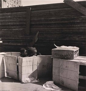 Untitled — Аарон Сіккінд