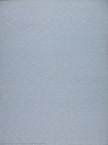 Detail 680350-707459 — რომან ოპალკა