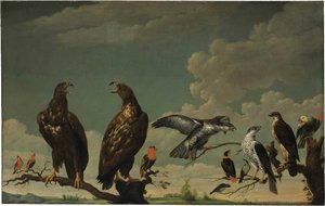 A Concert Of Birds — Paul De Vos