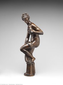 Bathing Venus — 詹博洛尼亚