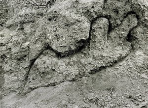 Untitled, From The Silueta Series — Ana Mendieta
