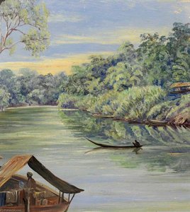 Fiume Da Bussa, Sarawak, Borneo — Marianne North