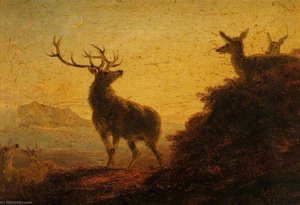 Sketch Of Deer, Evening — James Giles