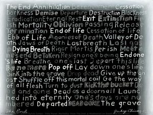 Title Panel: Mortality, From The End: A Meditation On Death And Extinction — Judith Sylvia Cohen