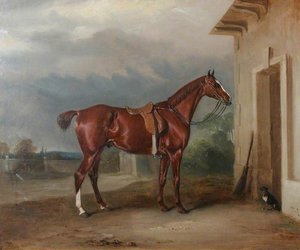 'orion', A Chestnut Hunter Outside A Stable — Sr John E Ferneley