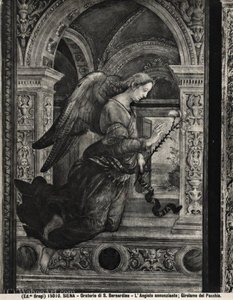 Arcangelo Gabriele — Girolamo Del Pacchia