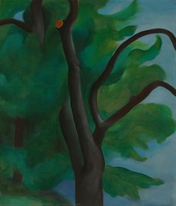 Untitled — Georgia O'keeffe
