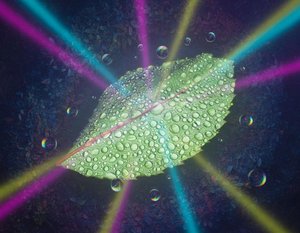 Ephemeral Radiance: Verdant Bloom — Jacques Villedieu