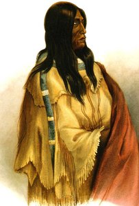 Woman Of The Snake-tribe — Karl Bodmer