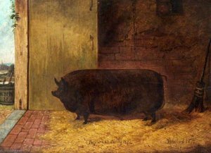 Prize Pig, Royal Agricultural Show, Cardiff — Richard Whitford