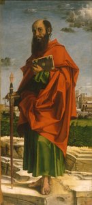 Saint Paul — Bartolomeo Montagna
