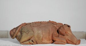 Sleeping Pig