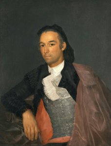 Ritratto Del Toreador Pedro Romero — Francisco José De Goya Y Lucientes