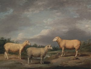 Ryelands Sheep, The King's Ram, The King's Ewe And Lord Somerville's Wether — James Ward