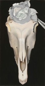 Horse — Georgia O’keeffe