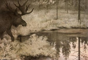 I Came To The Secret Springs And Lakes Where Mooses Slake Their Thurst — Theodor Kittelsen